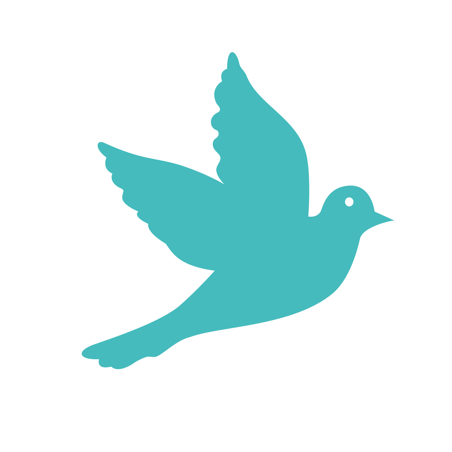 Avian sample collection animal genetics