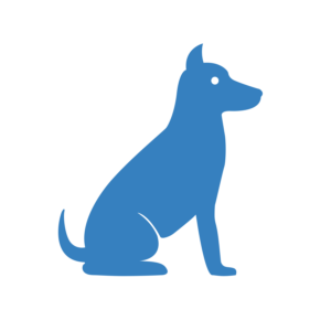 Canine