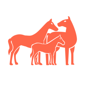 HORSE COLOR GENETIC CODES visual data 4